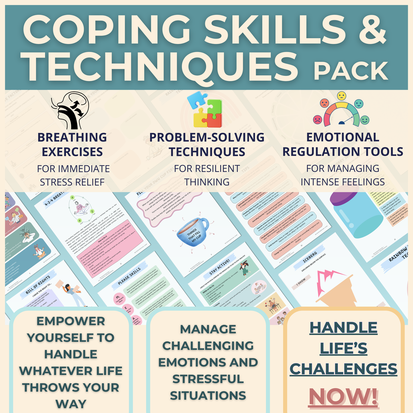 Coping Skills & Techniques - PACK